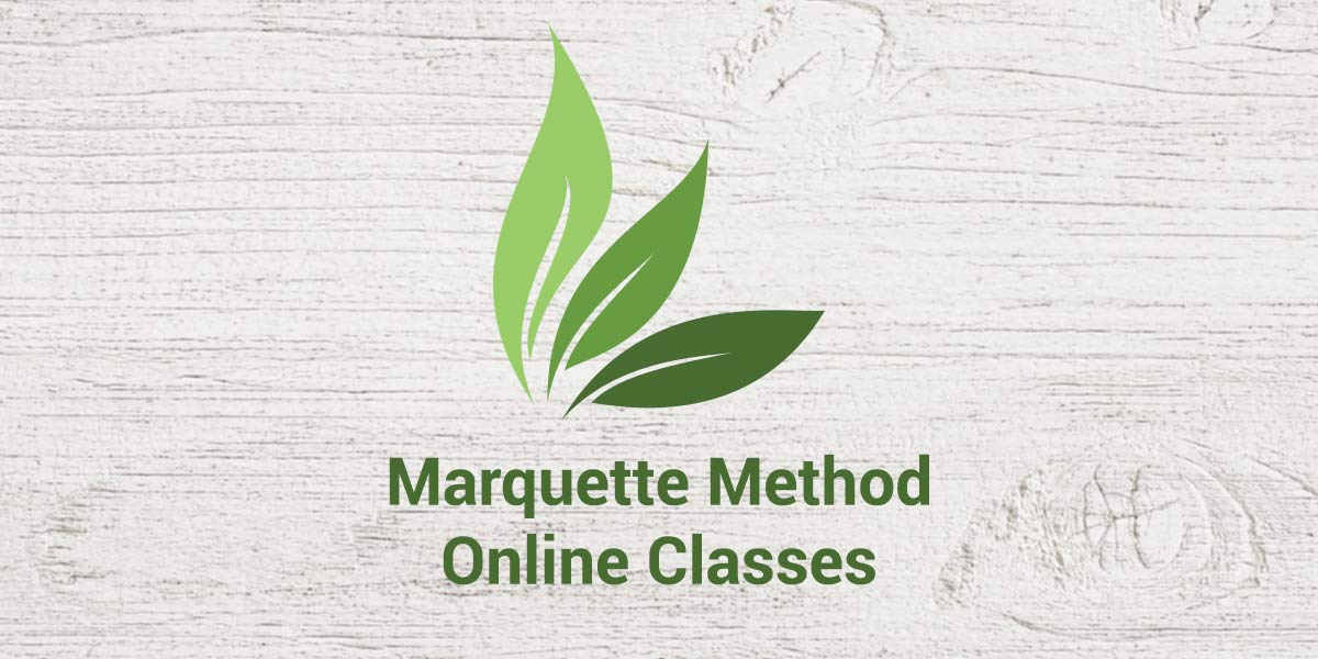 Vitae Fertility - Marquette Method NFP Online Classes