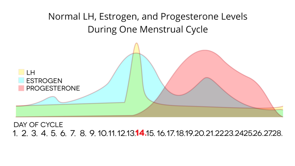 A Nurse Reviews the Clearblue Fertility Monitor - Vitae Fertility